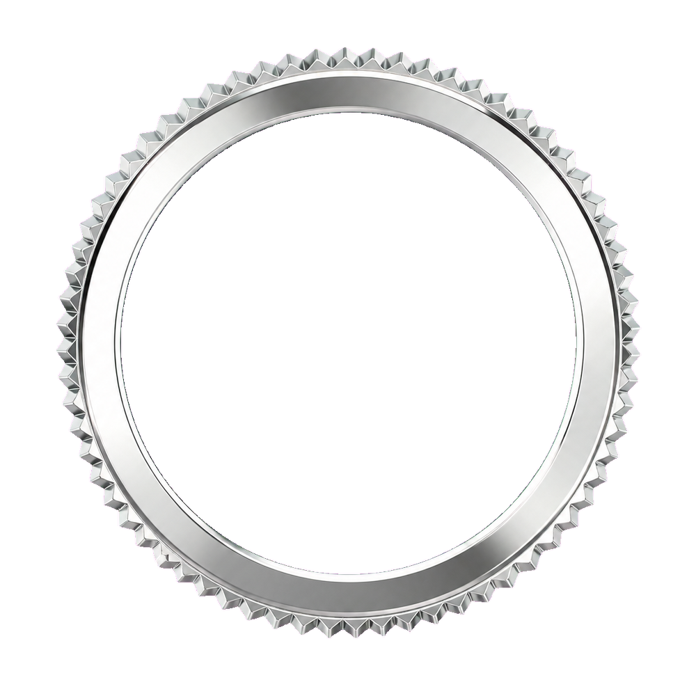 Lucius Atelier SKX013 The Coin Edge Bezel - Silver Mirror Polished — Bezel Ring