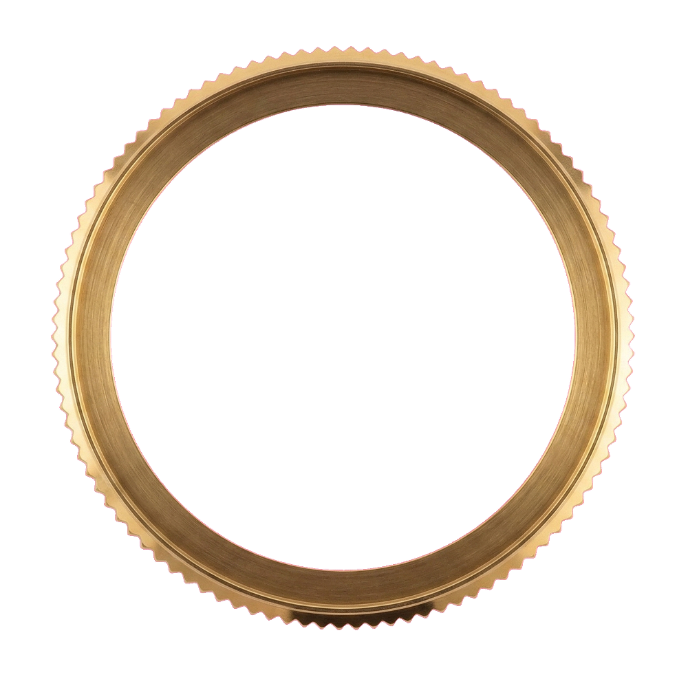 Namoki SRP Turtle Coin Edge Bezel: Polished Gold Finish — Bezel Ring