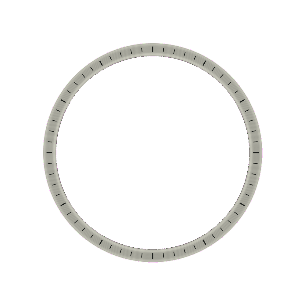 Lucius Atelier SKX007 Brushed Silver Chapter Ring - Black Markers — Chapter Ring