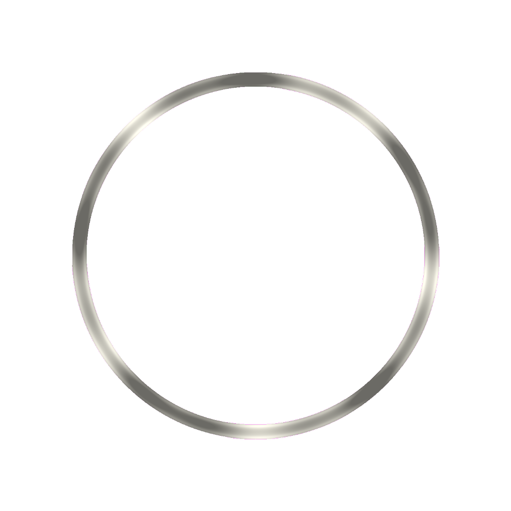 Lucius Atelier SKX007 Mirror Polished Silver Chapter Ring — Chapter Ring