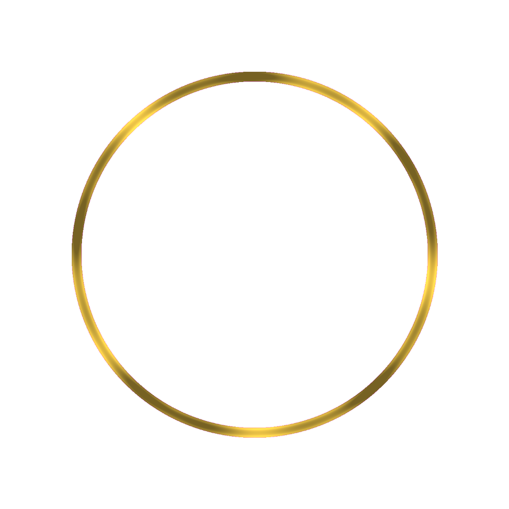 Lucius Atelier SKX013 Mirror Polished Gold Chapter Ring [ULTRA THIN EDITION] — Chapter Ring