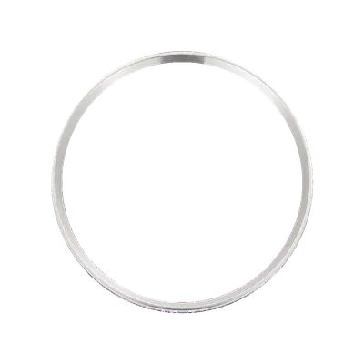 SKX013 Chapter Ring: Brushed Finish