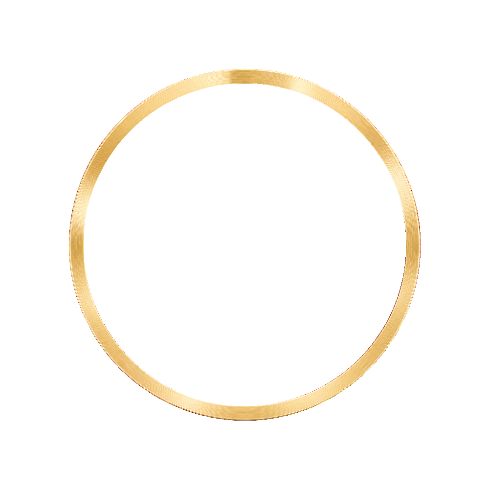Namoki SKX007/SRPD Chapter Ring: Brushed Gold Finish — Chapter Ring
