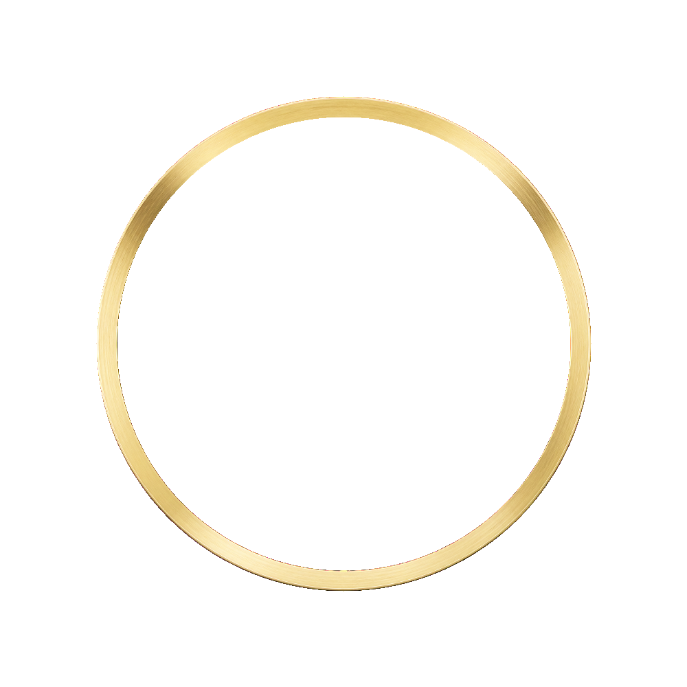 Namoki SRP Turtle Chapter Ring: Brushed Gold Finish — Chapter Ring