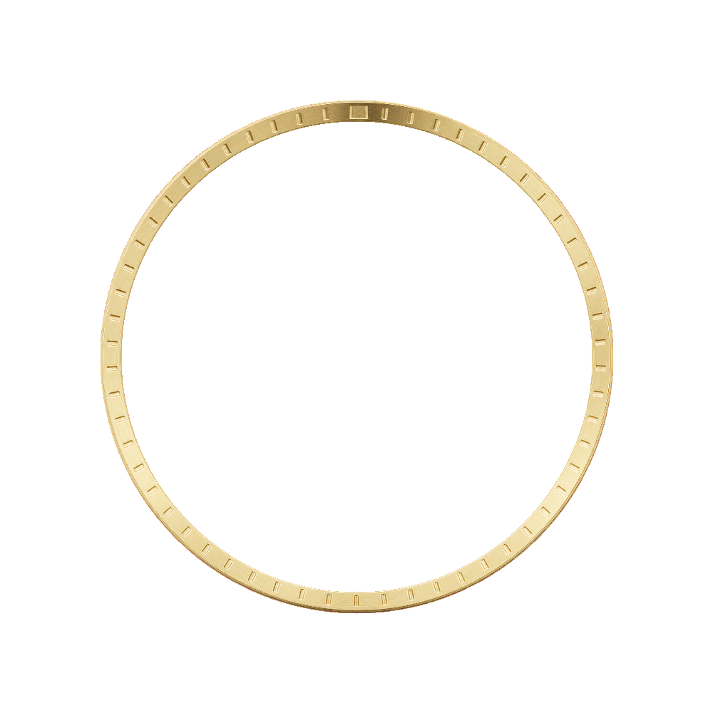 Namoki SRP Turtle Chapter Ring: Brushed Gold Finish with Laser Etched Markers — Chapter Ring