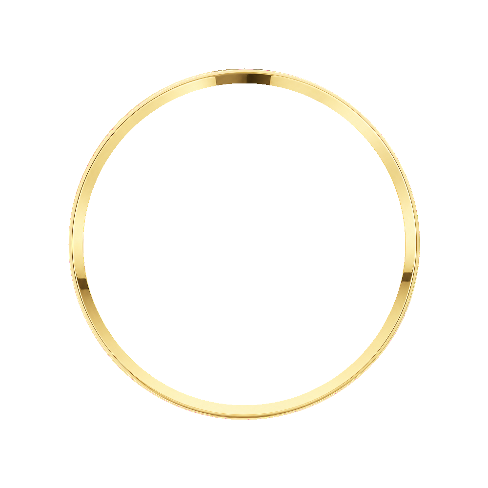 Namoki SRP Turtle Chapter Ring: Polished Gold Finish — Chapter Ring