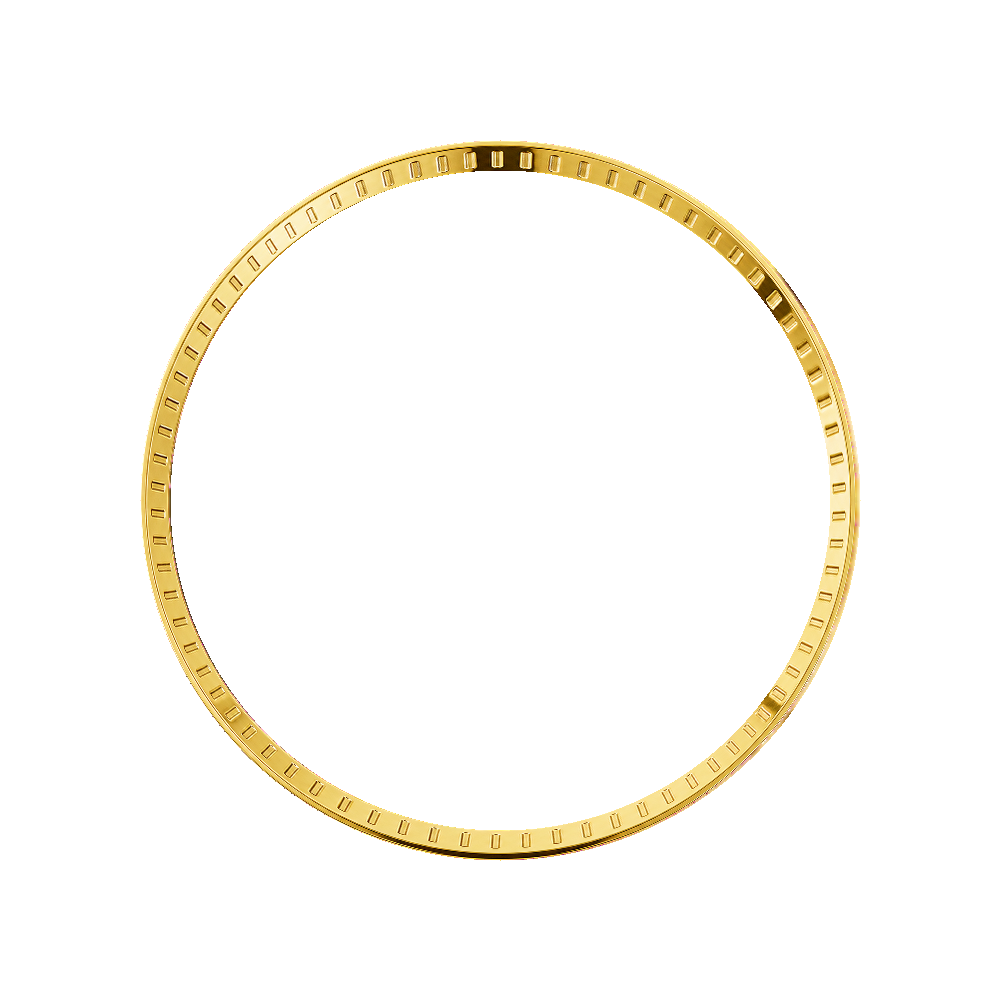 Namoki SRP Turtle Chapter Ring: Polished Gold Finish with Laser Etched Markers — Chapter Ring