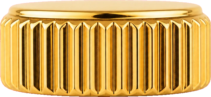 Namoki SRPD Crown: Polished Gold Finish — Crown